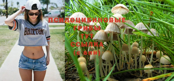 тгк Осташков