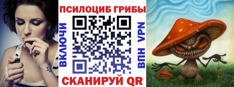 Псилоцибиновые грибы мухоморы  Купить закладки  Дедовск 